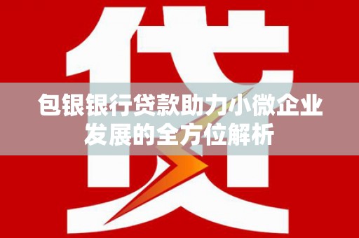 观音包银银行贷款助力小微企业发展的全方位解析