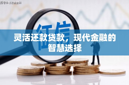 观音灵活还款贷款，现代金融的智慧选择