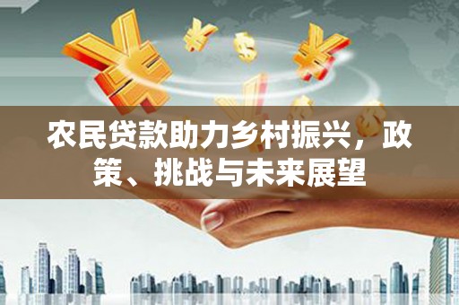 观音农民贷款助力乡村振兴，政策、挑战与未来展望