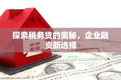 观音探索税务贷的奥秘，企业融资新选择