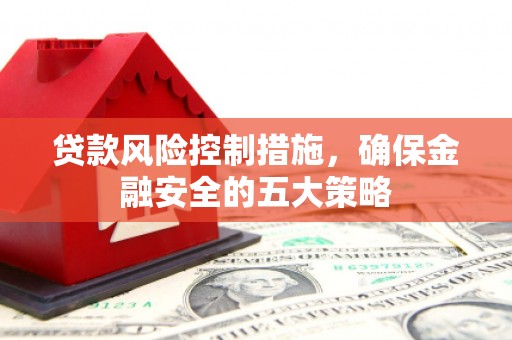 观音贷款风险控制措施，确保金融安全的五大策略