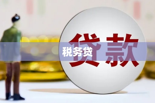 观音税务贷