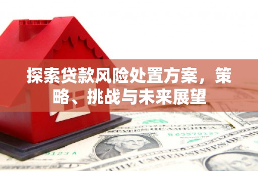 观音探索贷款风险处置方案，策略、挑战与未来展望