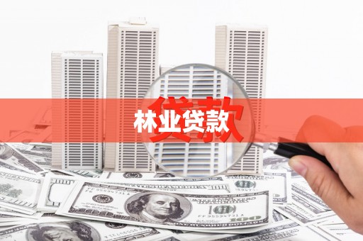 观音林业贷款