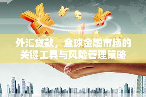 观音外汇贷款，全球金融市场的关键工具与风险管理策略