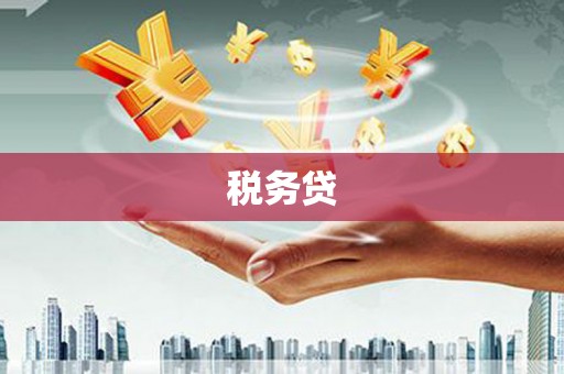 观音税务贷