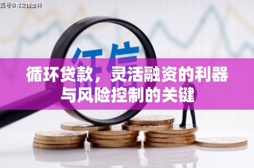 观音循环贷款，灵活融资的利器与风险控制的关键