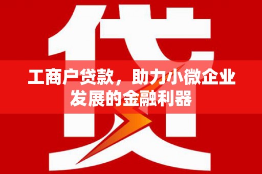 观音工商户贷款，助力小微企业发展的金融利器