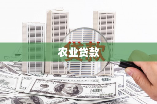 观音农业贷款