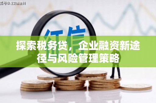 观音探索税务贷，企业融资新途径与风险管理策略