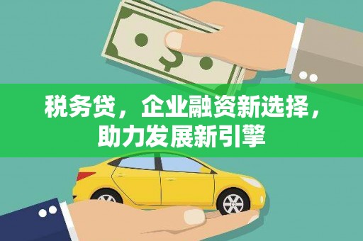 观音税务贷，企业融资新选择，助力发展新引擎