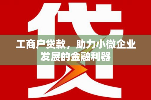 观音工商户贷款，助力小微企业发展的金融利器