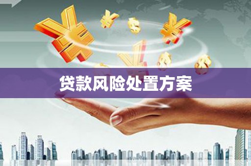 观音贷款风险处置方案