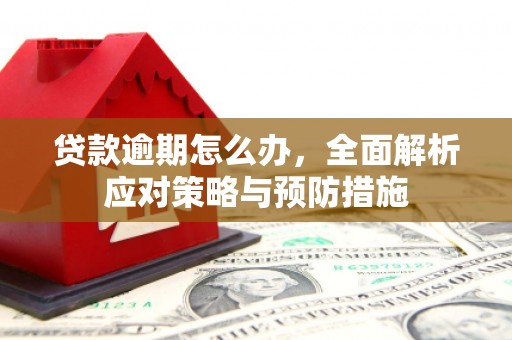 观音贷款逾期怎么办，全面解析应对策略与预防措施