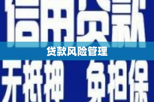观音贷款风险管理