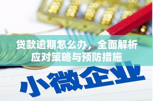 观音贷款逾期怎么办，全面解析应对策略与预防措施