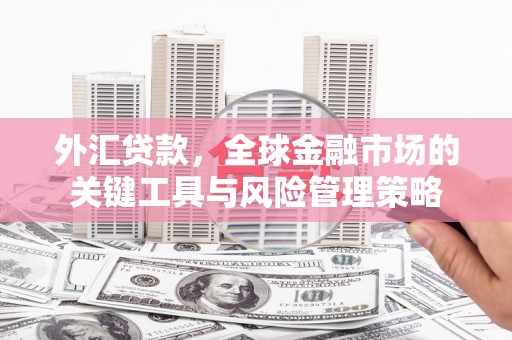 观音外汇贷款，全球金融市场的关键工具与风险管理策略
