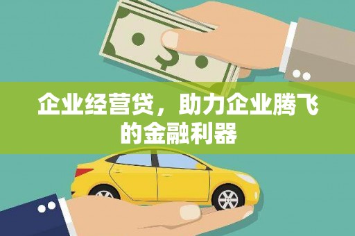 观音企业经营贷，助力企业腾飞的金融利器