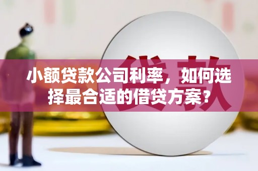 观音小额贷款公司利率，如何选择最合适的借贷方案？