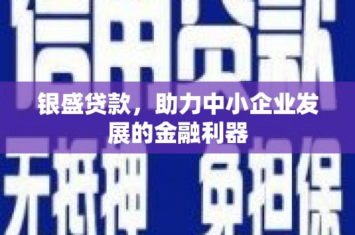 观音银盛贷款，助力中小企业发展的金融利器