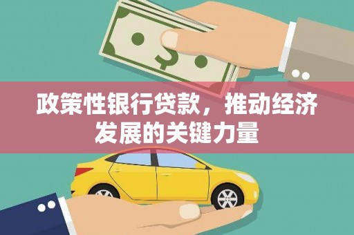 观音政策性银行贷款，推动经济发展的关键力量
