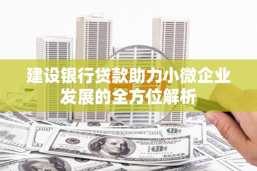 观音建设银行贷款助力小微企业发展的全方位解析
