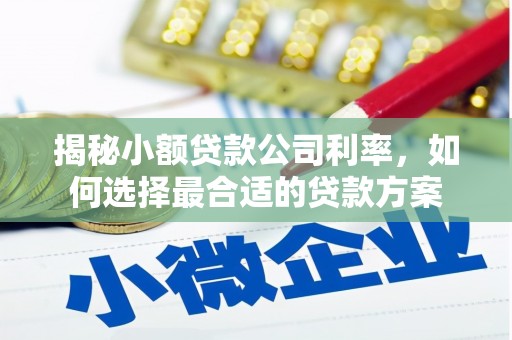 观音揭秘小额贷款公司利率，如何选择最合适的贷款方案