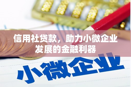 观音信用社贷款，助力小微企业发展的金融利器