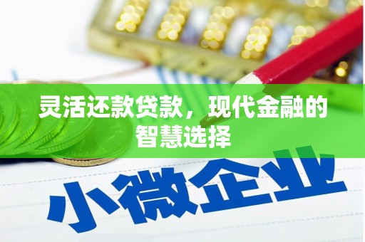 观音灵活还款贷款，现代金融的智慧选择