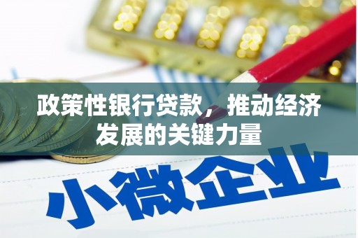 观音政策性银行贷款，推动经济发展的关键力量
