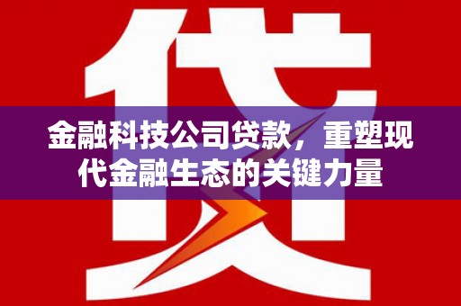 观音金融科技公司贷款，重塑现代金融生态的关键力量