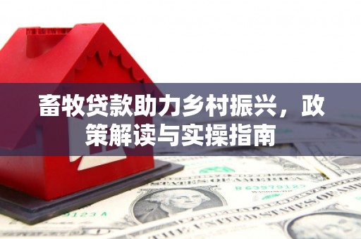 观音畜牧贷款助力乡村振兴，政策解读与实操指南