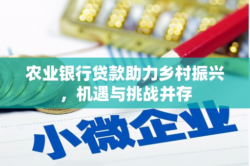 观音农业银行贷款助力乡村振兴，机遇与挑战并存