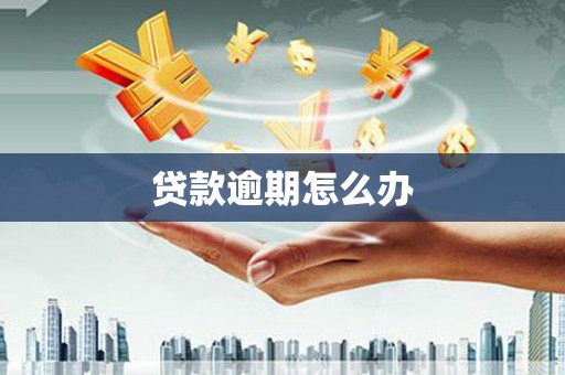 观音贷款逾期怎么办