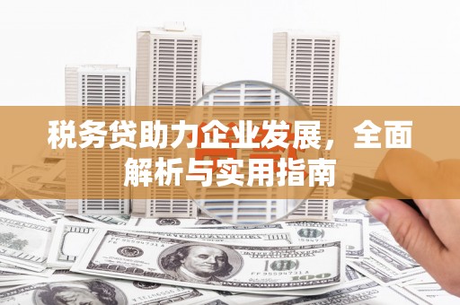 观音税务贷助力企业发展，全面解析与实用指南