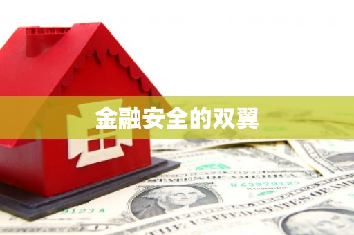 观音金融安全的双翼