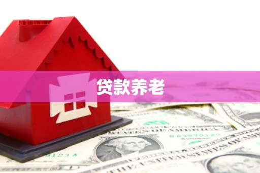 观音贷款养老