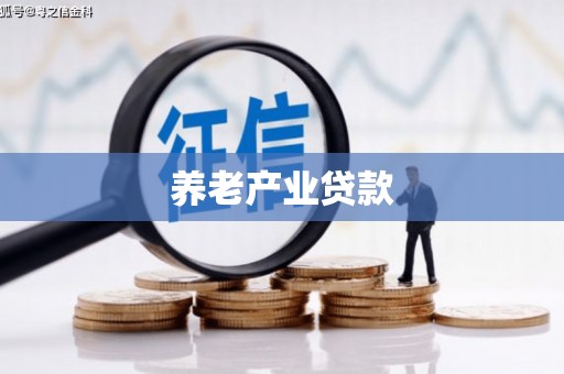 观音养老产业贷款