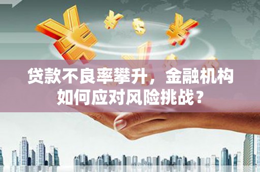 观音贷款不良率攀升，金融机构如何应对风险挑战？