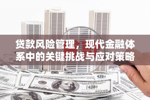 观音贷款风险管理，现代金融体系中的关键挑战与应对策略
