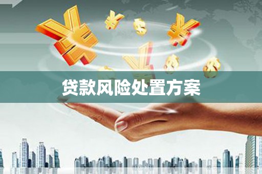 观音贷款风险处置方案
