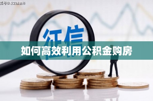 观音如何高效利用公积金购房