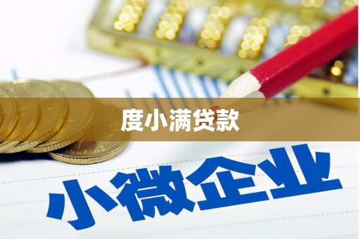 观音度小满贷款