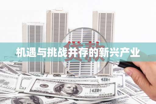 观音机遇与挑战并存的新兴产业