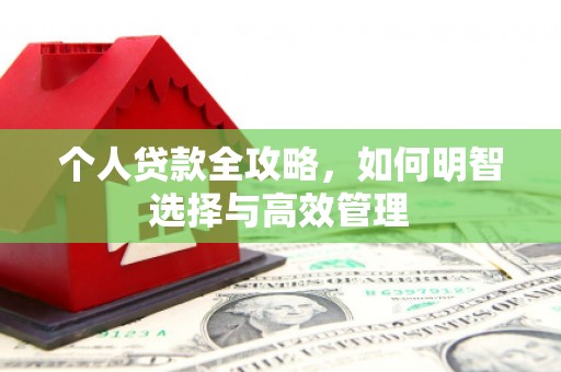观音个人贷款全攻略，如何明智选择与高效管理