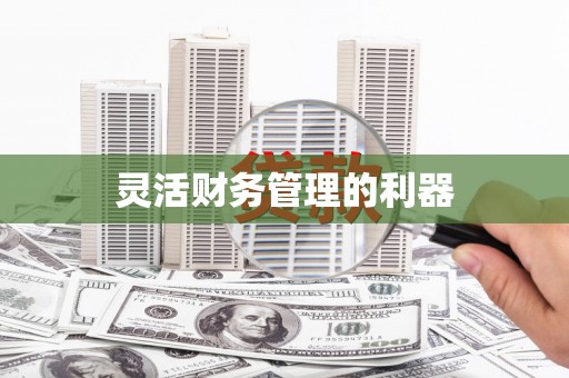 观音灵活财务管理的利器