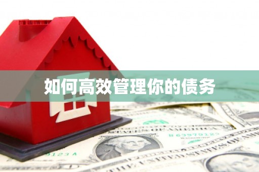 观音如何高效管理你的债务
