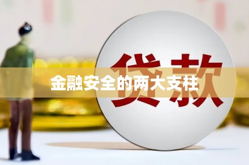观音金融安全的两大支柱