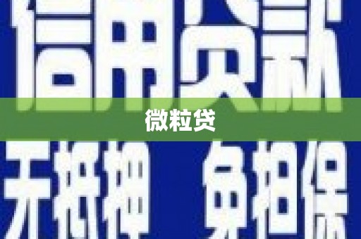 观音微粒贷