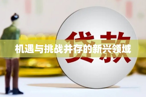 观音机遇与挑战并存的新兴领域